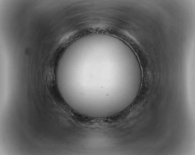 X0000086750918200704271707