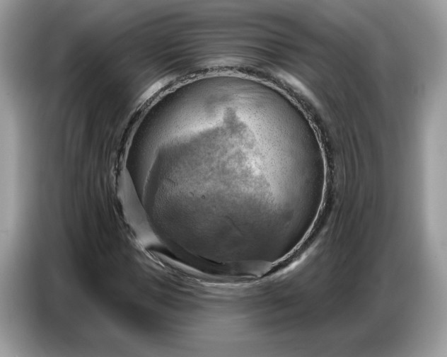 X0000086750921200704271707