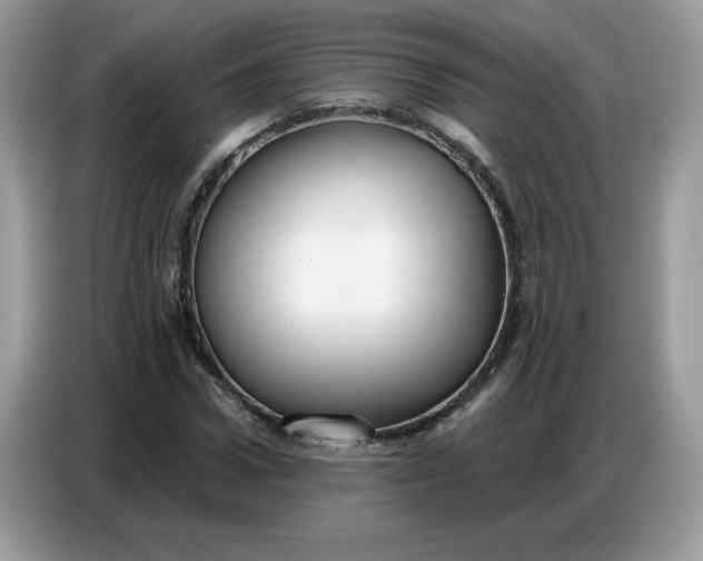 X0000086750922200704271707