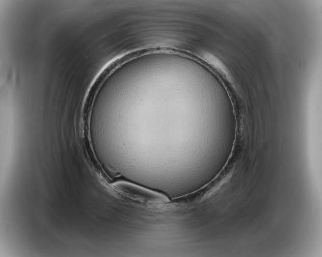 X0000086750924200704271707