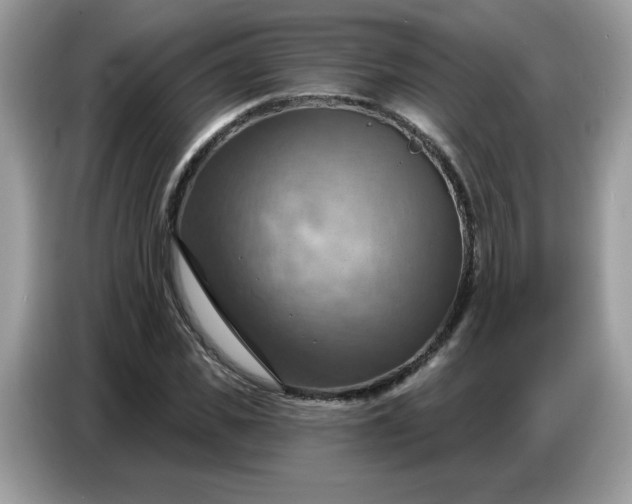 X0000086750925200704271707