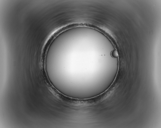 X0000086750927200704271707