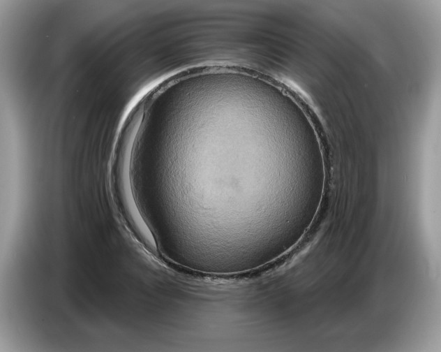 X0000086750928200704271707