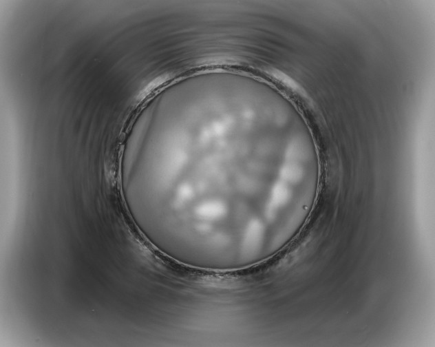 X0000086750929200704271707