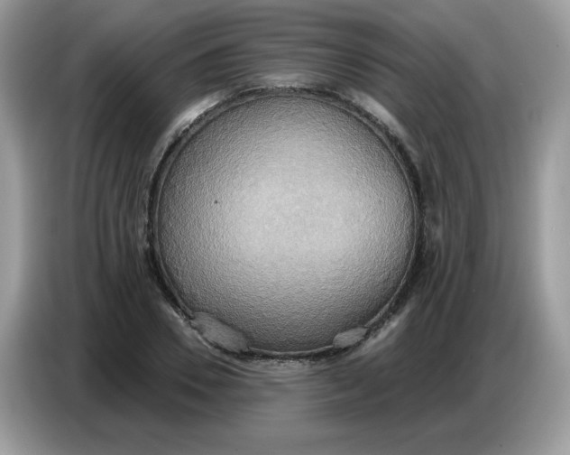 X0000086750930200704271707