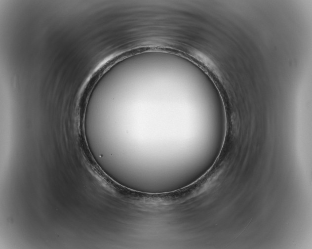 X0000086750931200704271707