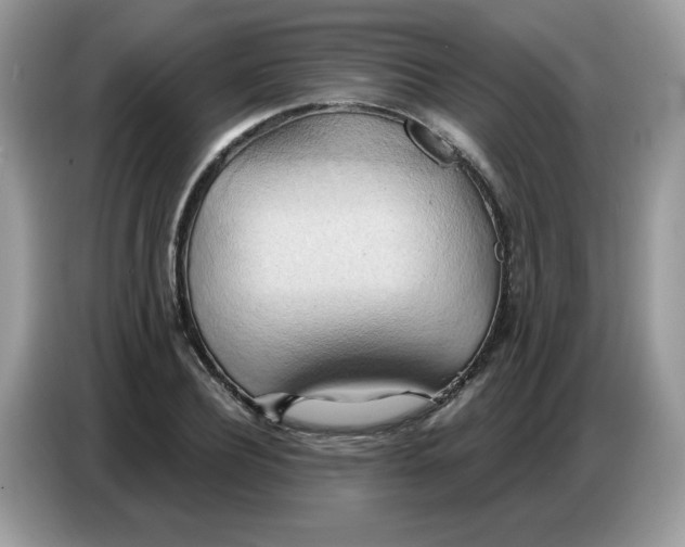 X0000086750932200704271707