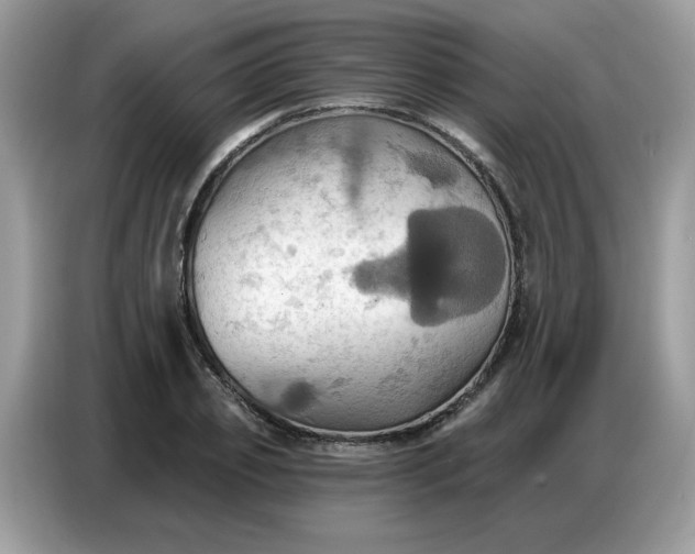 X0000086750933200704271707