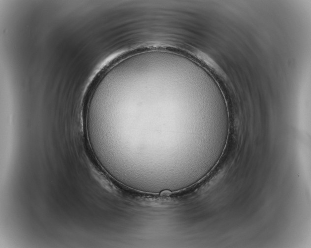 X0000086750934200704271707