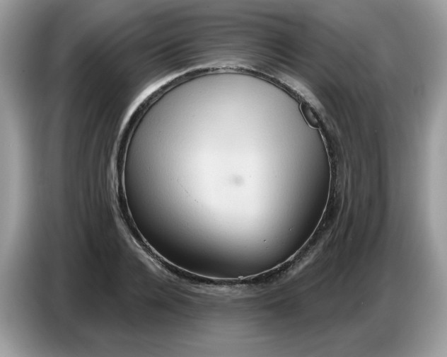 X0000086750936200704271707