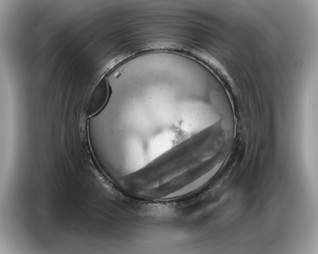 X0000086750937200704271707