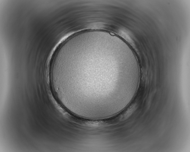 X0000086750939200704271707