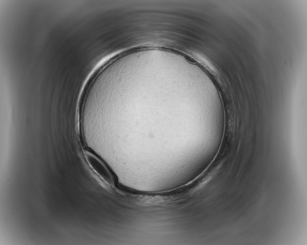 X0000086750940200704271707