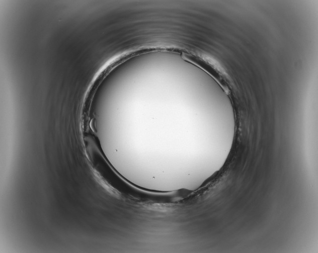 X0000086750942200704271707