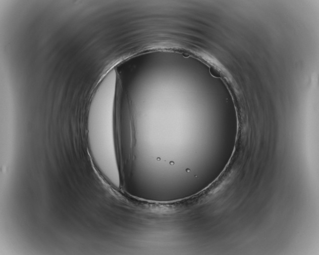 X0000086750945200704271707