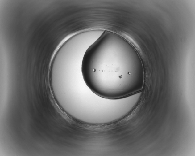 X0000086750948200704271707