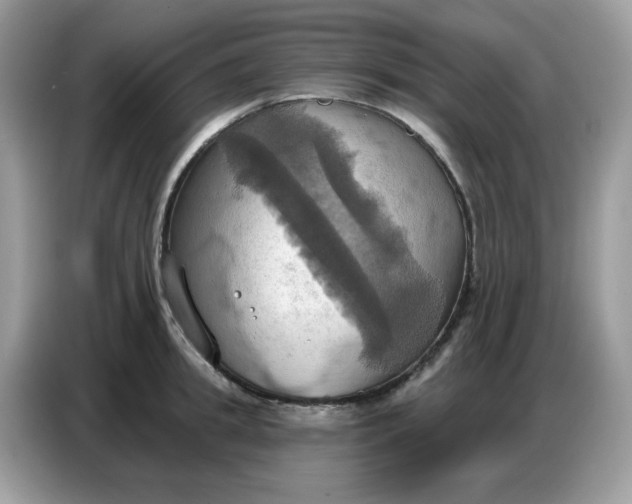 X0000086750949200704271707