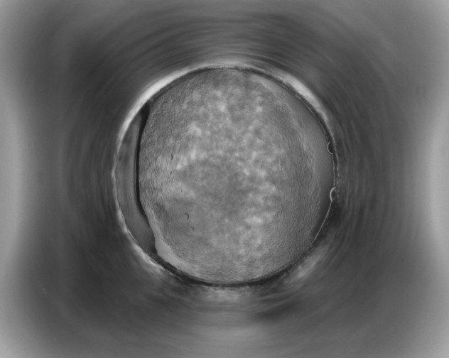 X0000086750951200704271707