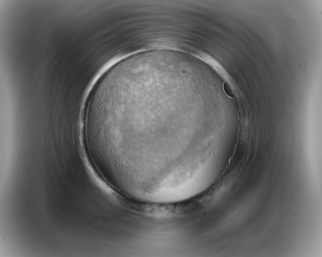 X0000086750955200704271708