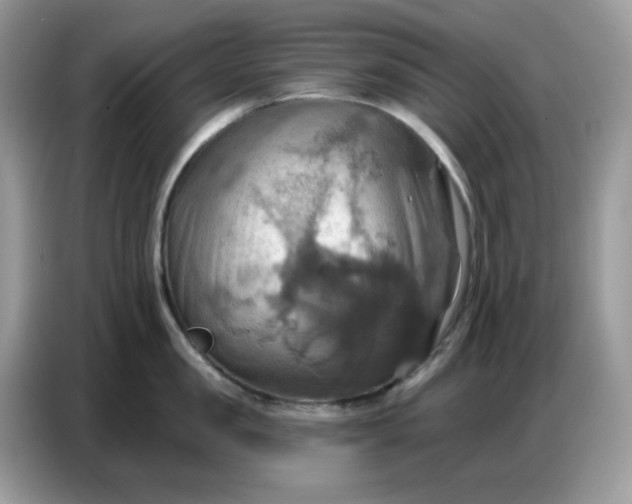 X0000086750957200704271708