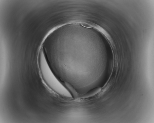 X0000086750958200704271708