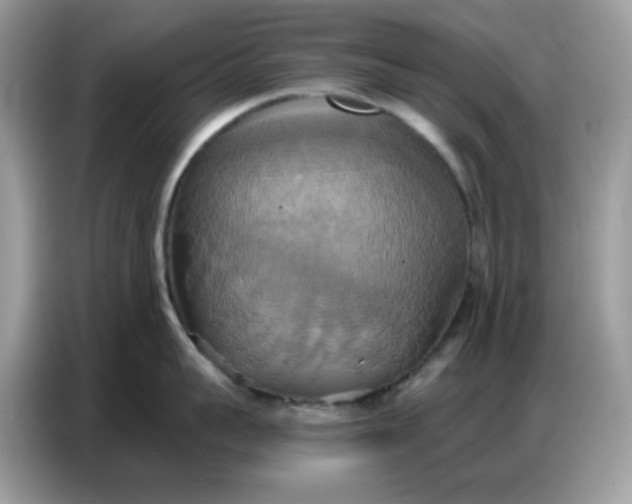 X0000086750959200704271708