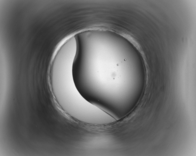 X0000086750960200704271708