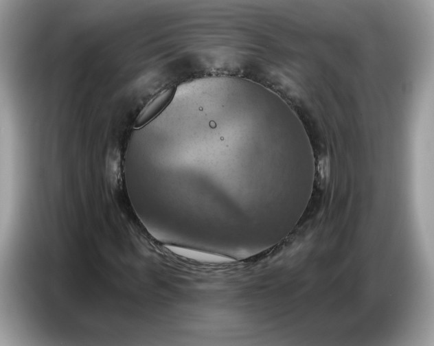 X0000086750963200704271707