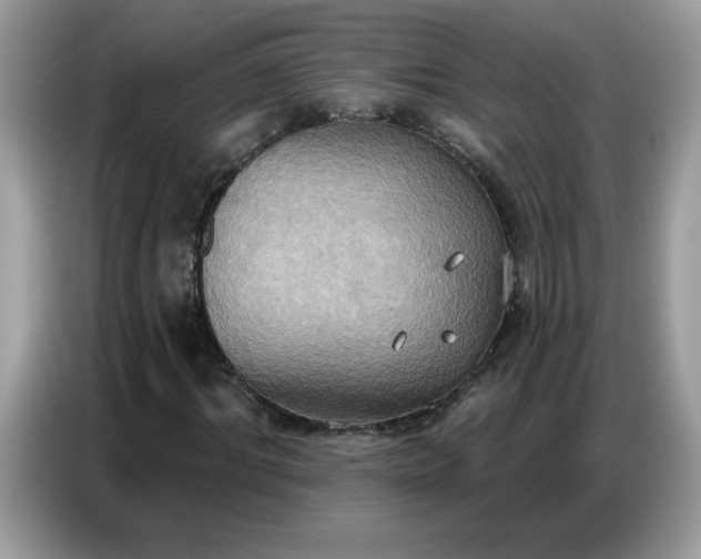 X0000086750964200704271707