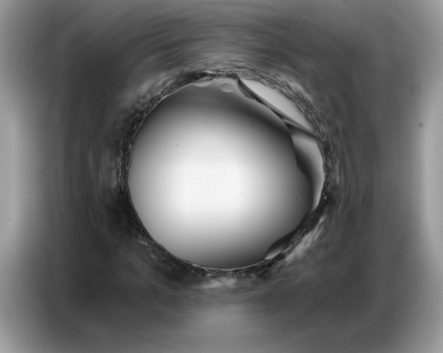 X0000086750965200704271707