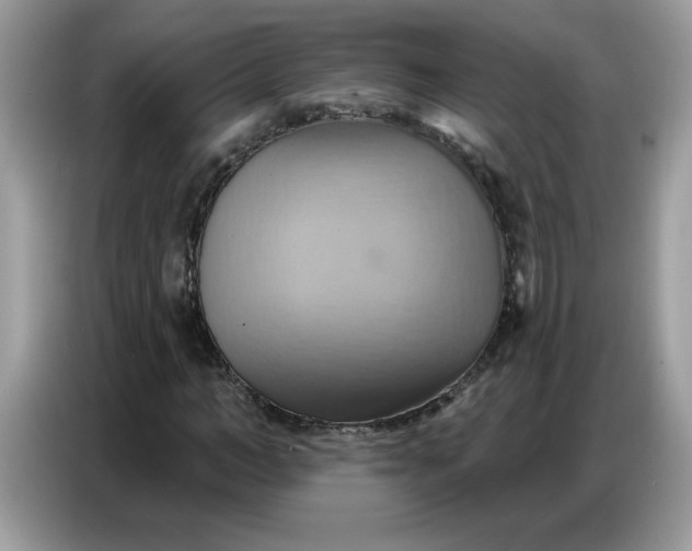 X0000086750966200704271707