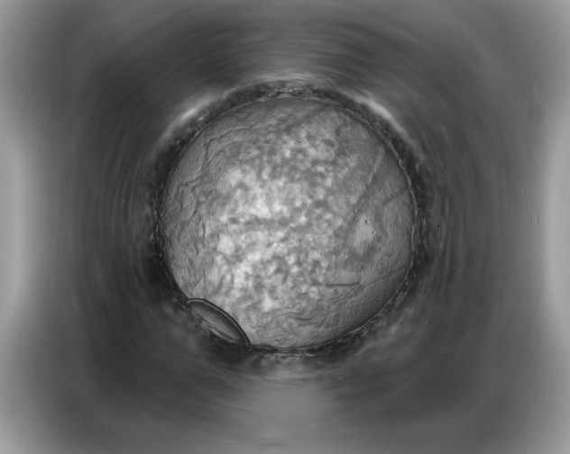 X0000086750967200704271707