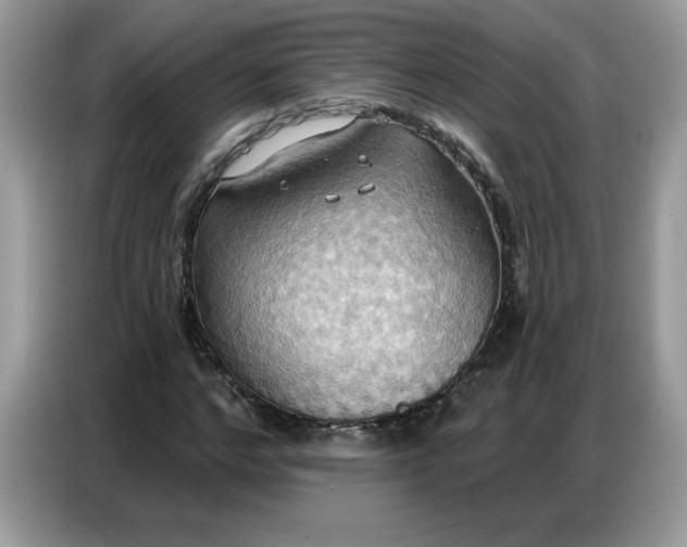 X0000086750968200704271707