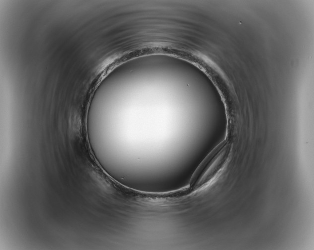 X0000086750969200704271707