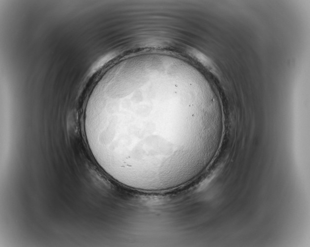 X0000086750970200704271707