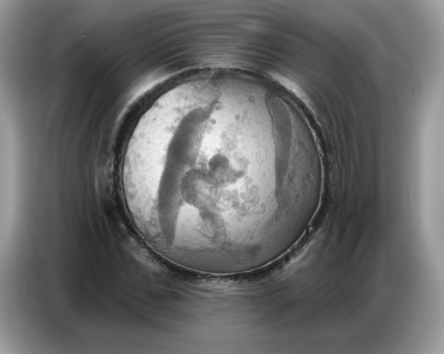 X0000086750971200704271707