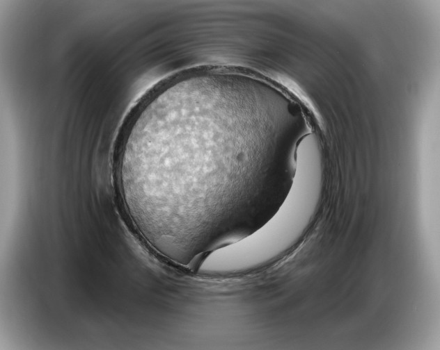 X0000086750972200704271707