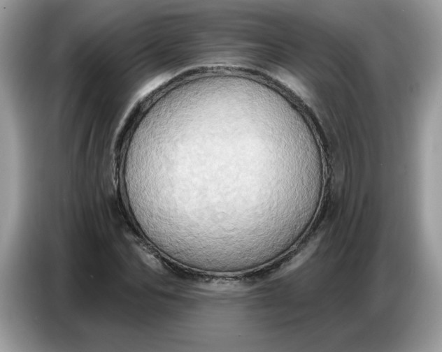 X0000086750974200704271707