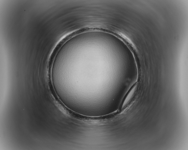 X0000086750976200704271707