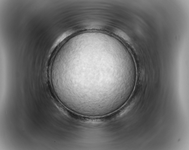 X0000086750978200704271707