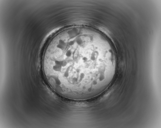 X0000086750979200704271707