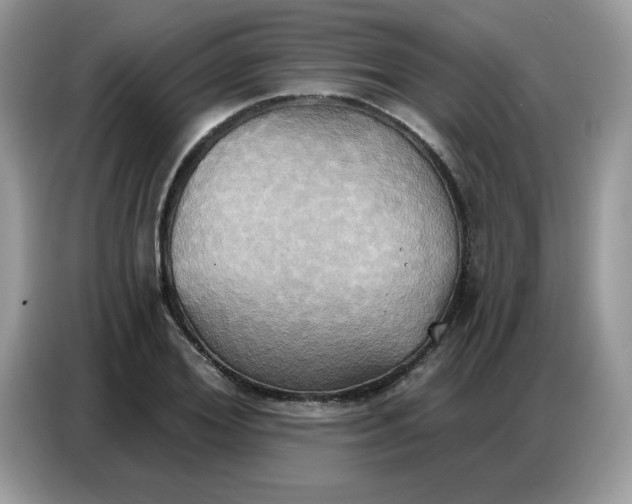 X0000086750980200704271707