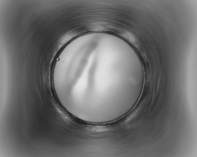 X0000086750986200704271707