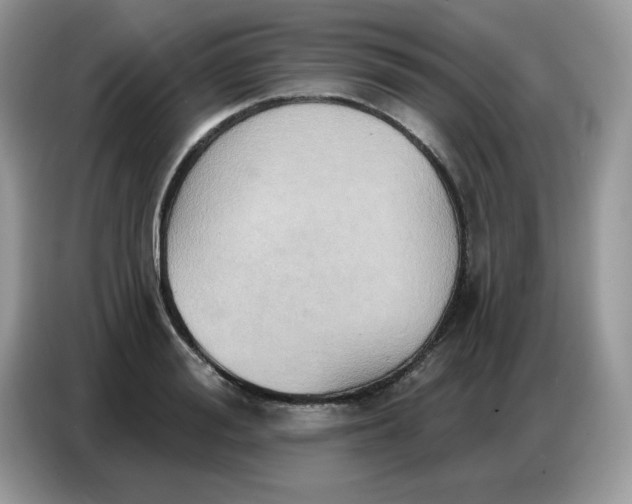 X0000086750988200704271707