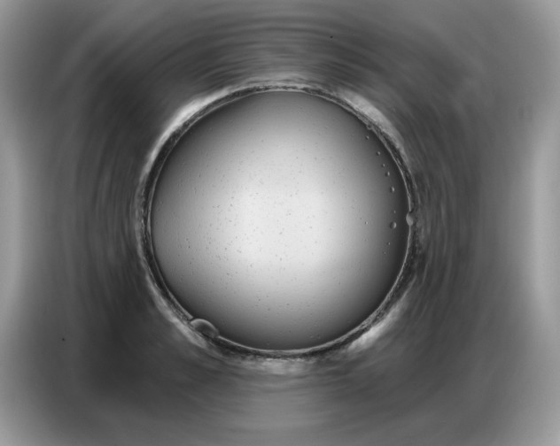 X0000086750989200704271707