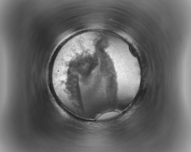 X0000086750991200704271707