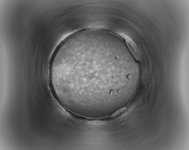 X0000086750992200704271707