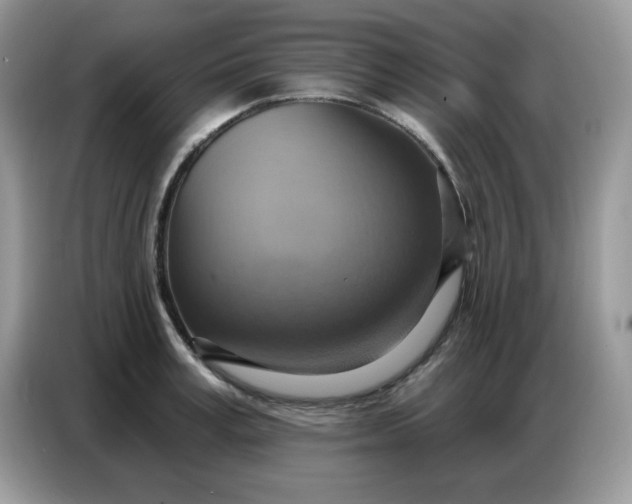 X0000086750995200704271707