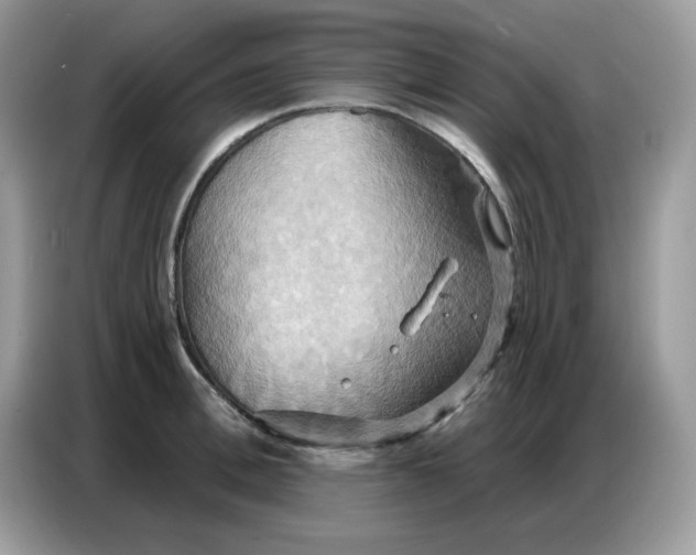 X0000086750996200704271707