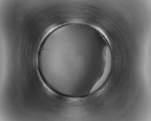 X0000086750999200704271706